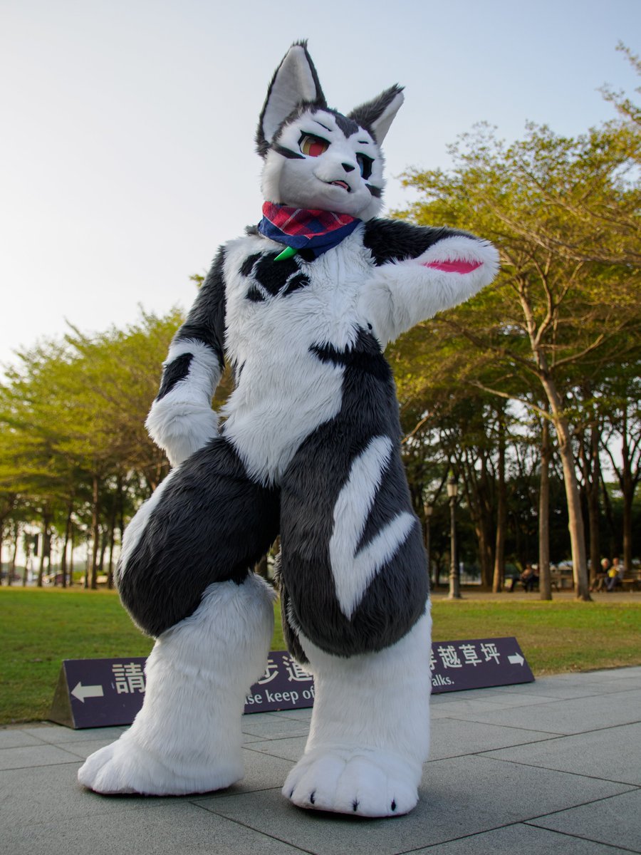 霜牙❄️しも🐺FrostFang tweet media