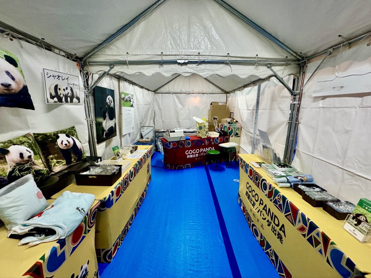 日本パンダ保護協会【公式】 tweet media