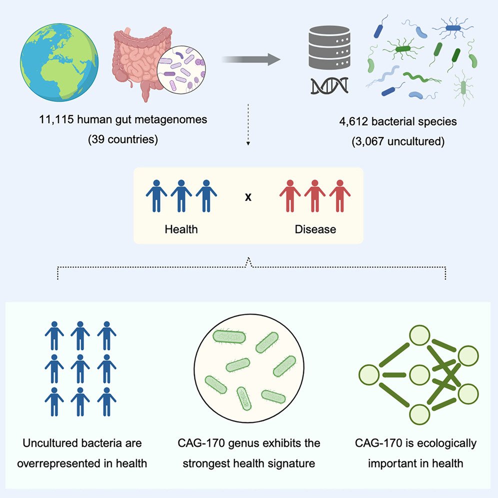 MicrobesInfect's tweet image. Meta-analysis of the uncultured gut #microbiome across 11,115 global metagenomes reveals a candidate signature of health

sciencedirect.com/science/articl… #microbiology #microbiota