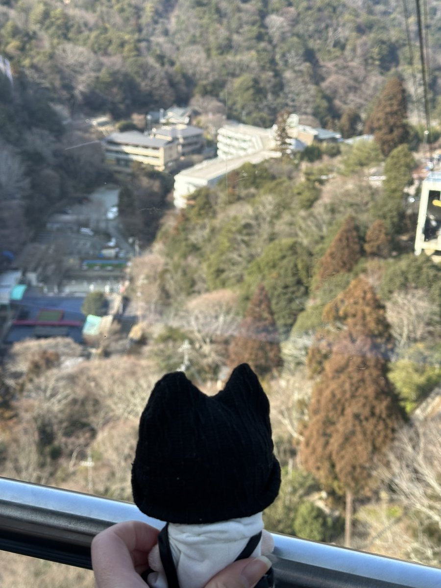 Post by 桜もち on X: ♨️