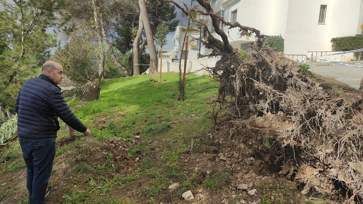Gestión ante el temporal: El alcalde Juan Manuel Almohalla y el concejal Pablo Garrido supervisan las actuaciones de emergencia en la Fuente de Antequera y el avance de las obras del PFEA. El 16 de febrero comienza la Fase II en Avda. Pablo Picasso. #Archidona #Seguridad #PFEA