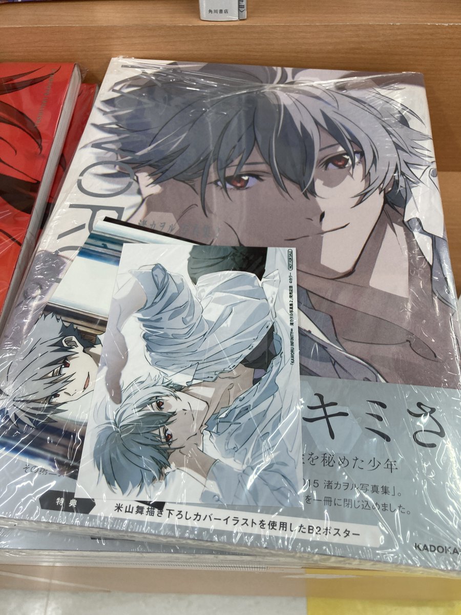 新刊入荷情報】 『KAWORU INFINITY∞ 渚カヲル写真集2』 が当店に入荷