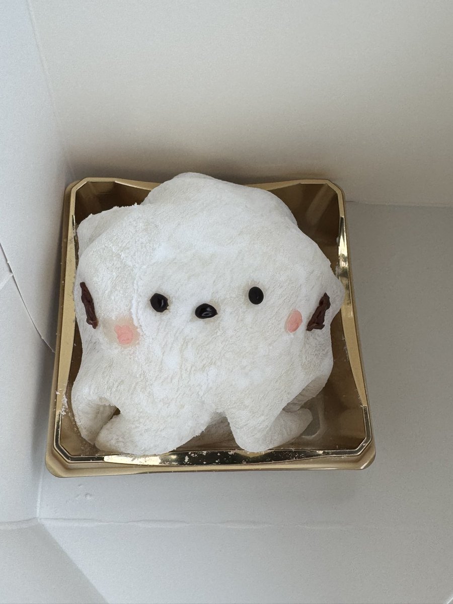 世はバレンタインと聞きまして、、自分に自分で買いました🕊️