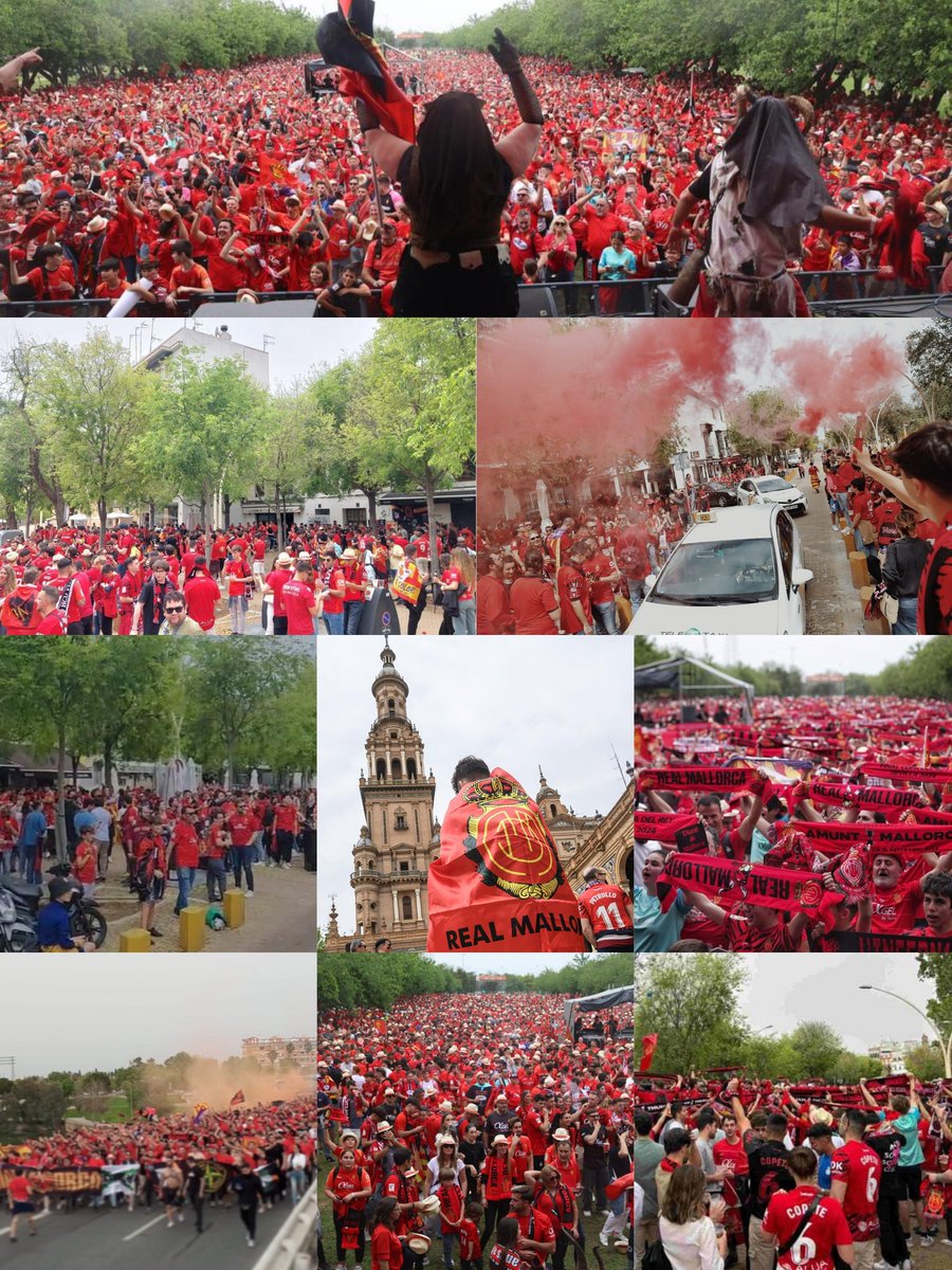 Toni Rueda tweet media