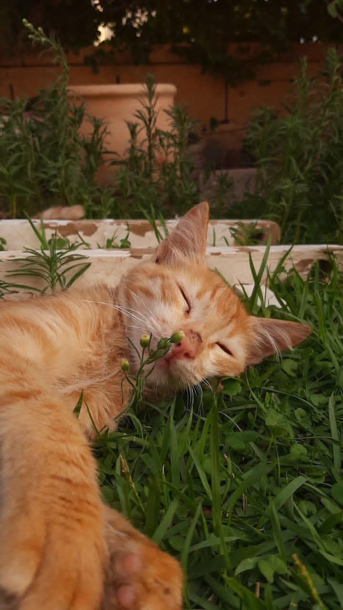 World Click (@worldclick56) on Twitter photo 