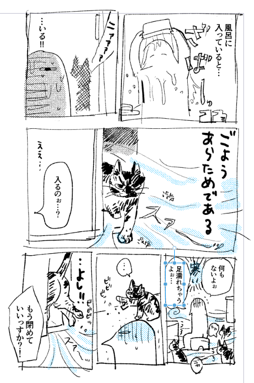 家の猫のふろチェックが厳しい