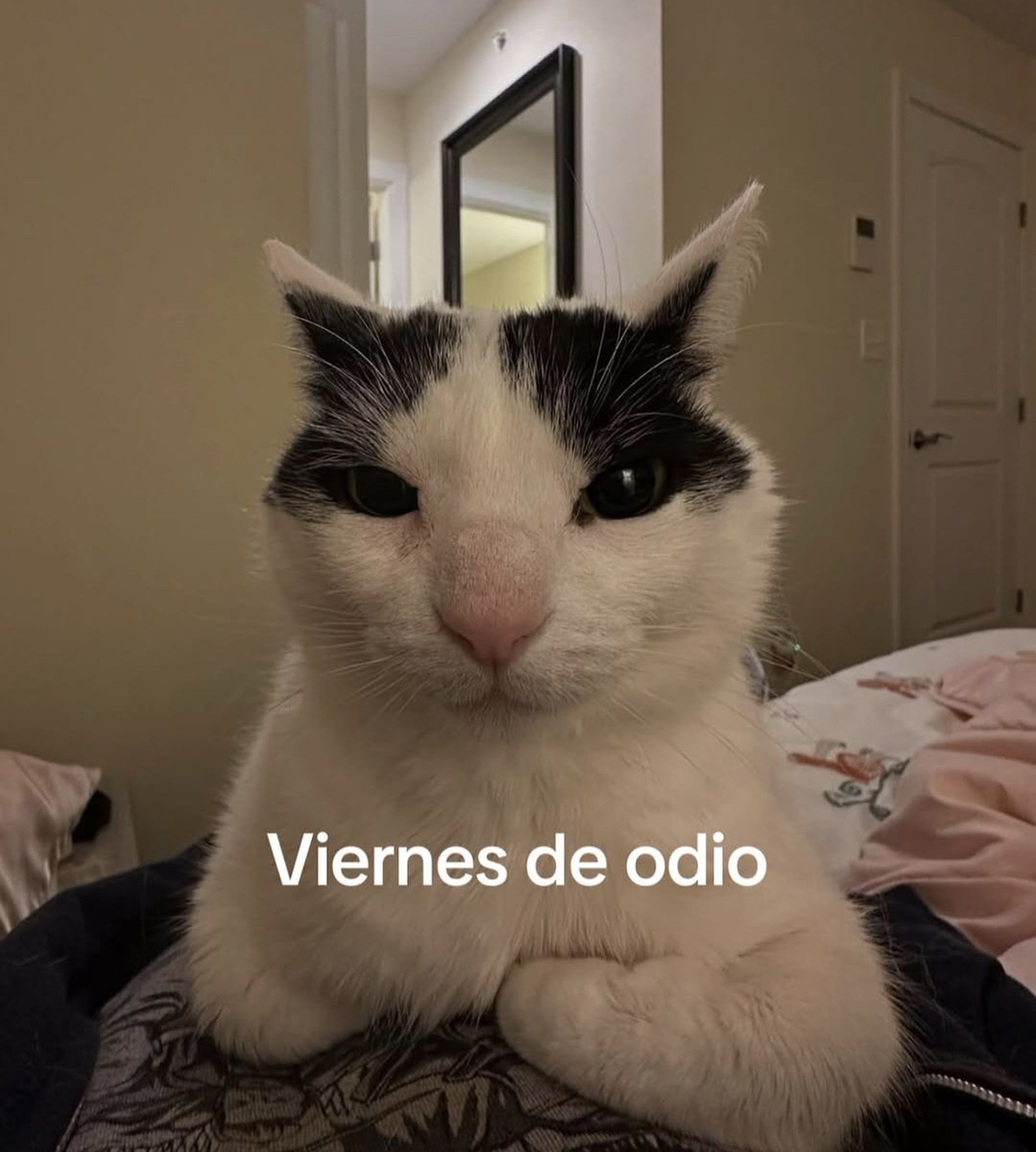 En Júpiter (@en_jupiter_) on Twitter photo 