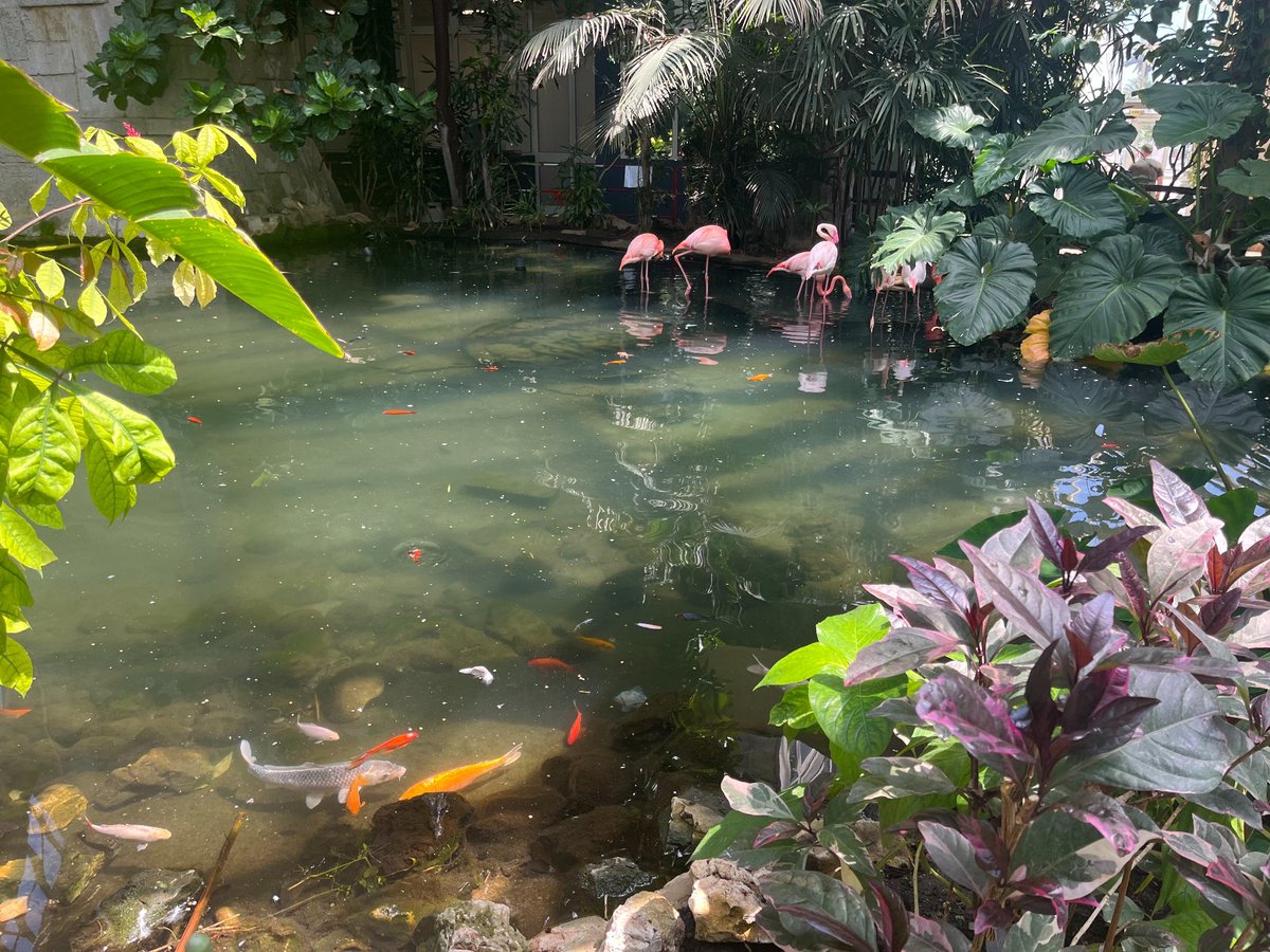 Yocto Project tweet media