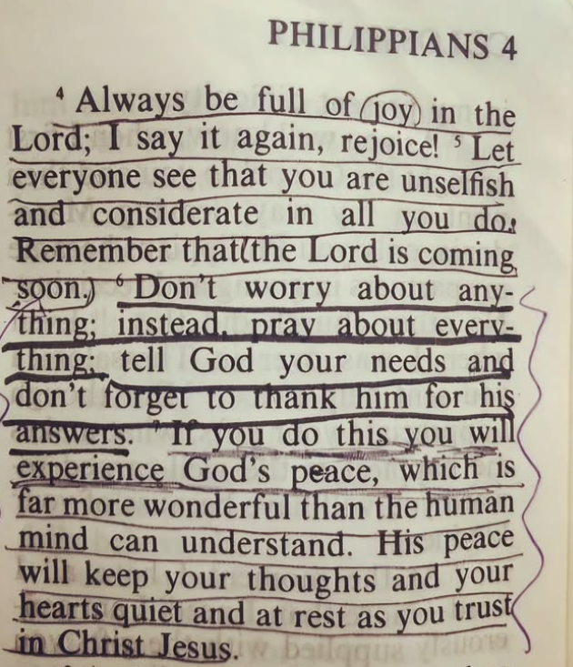 Jan Markell (@olivetreemin) on Twitter photo 