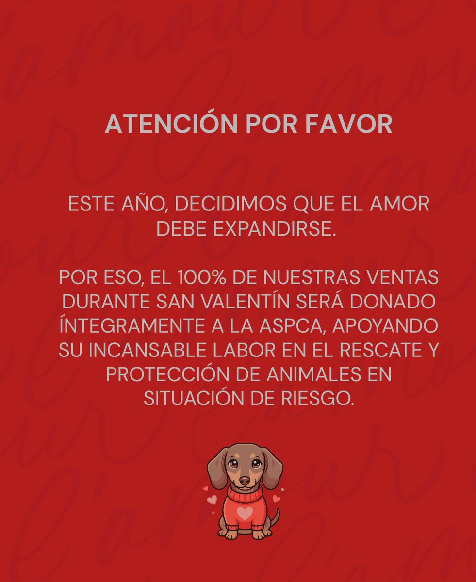 ‍‍ ‍ ‍ ‍ ‍ ‍special archival pieces. ‍‍ ‍ ‍ ‍ ‍ ‍ tweet media