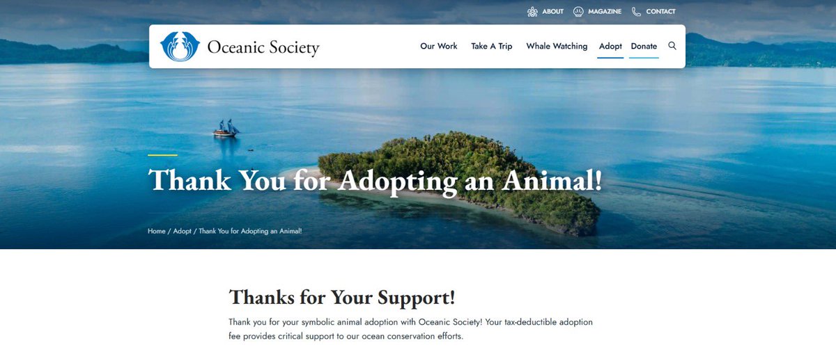 ‎⋆˚࿔ 𝐞𝐤á 𝜗𝜚˚⋆✮ tweet media