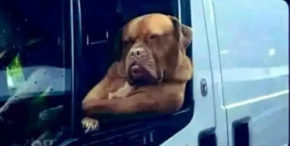 Town Charge office maZig yenyu aripo