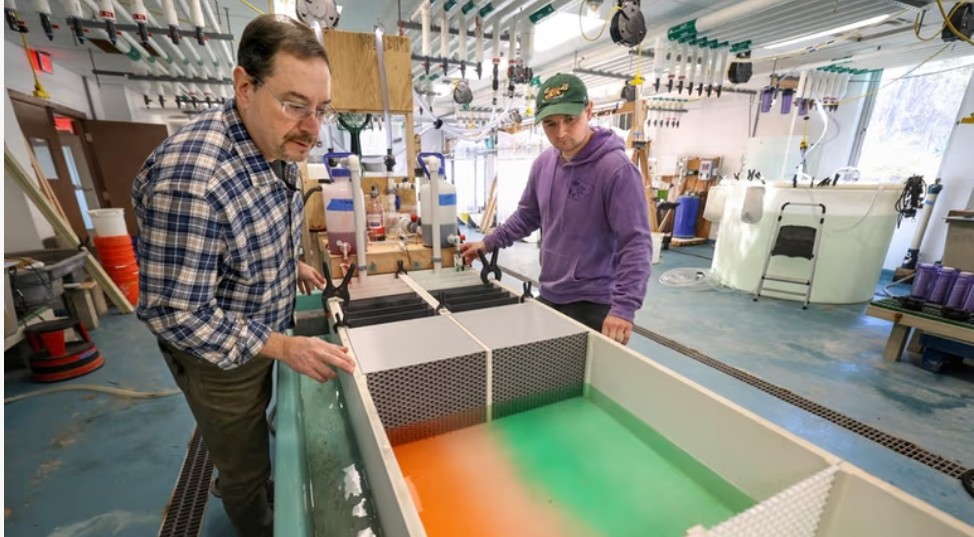 Horseshoe Crab Recovery Coalition tweet media