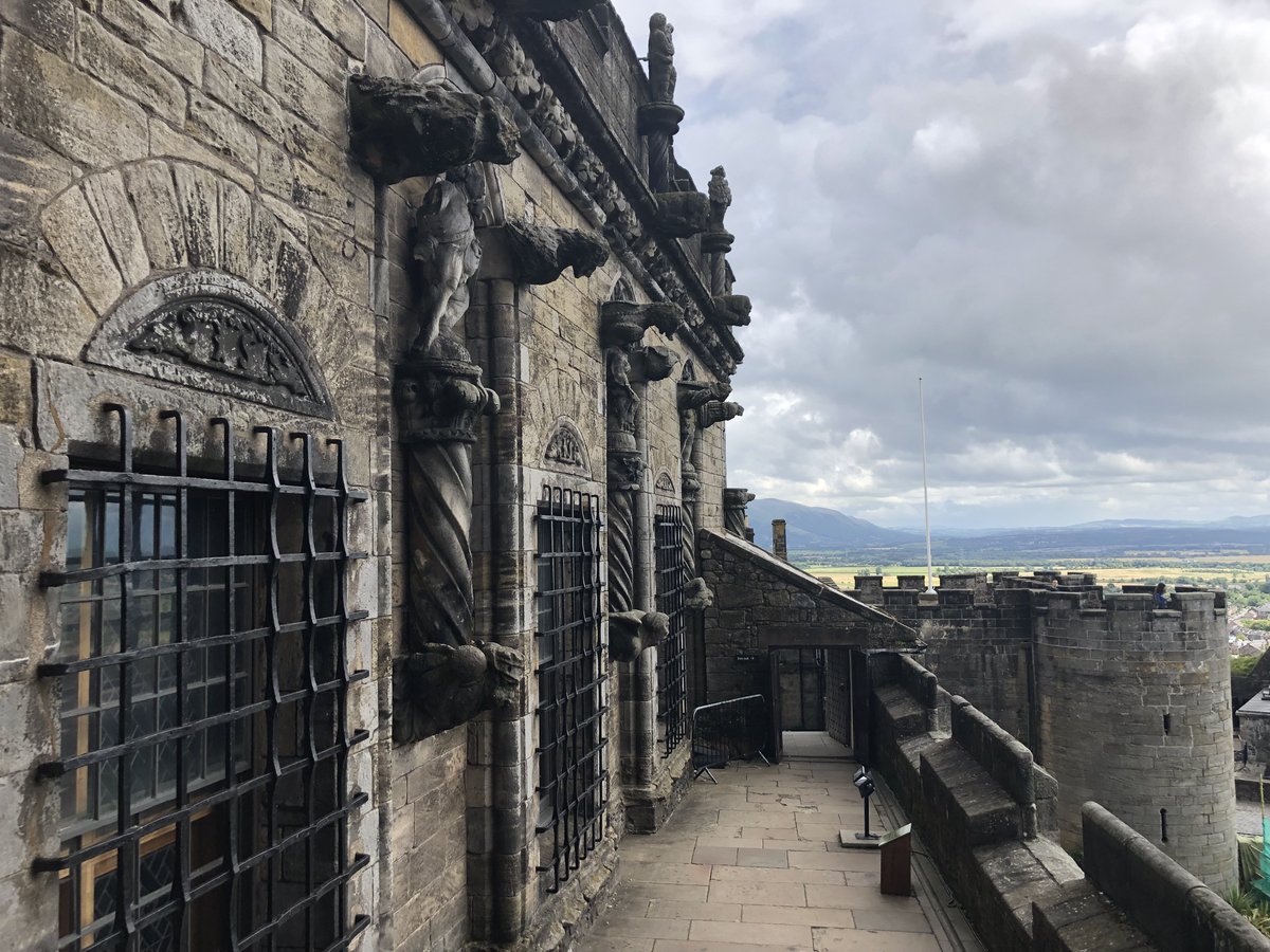 Andrew Powell-Thomas tweet media