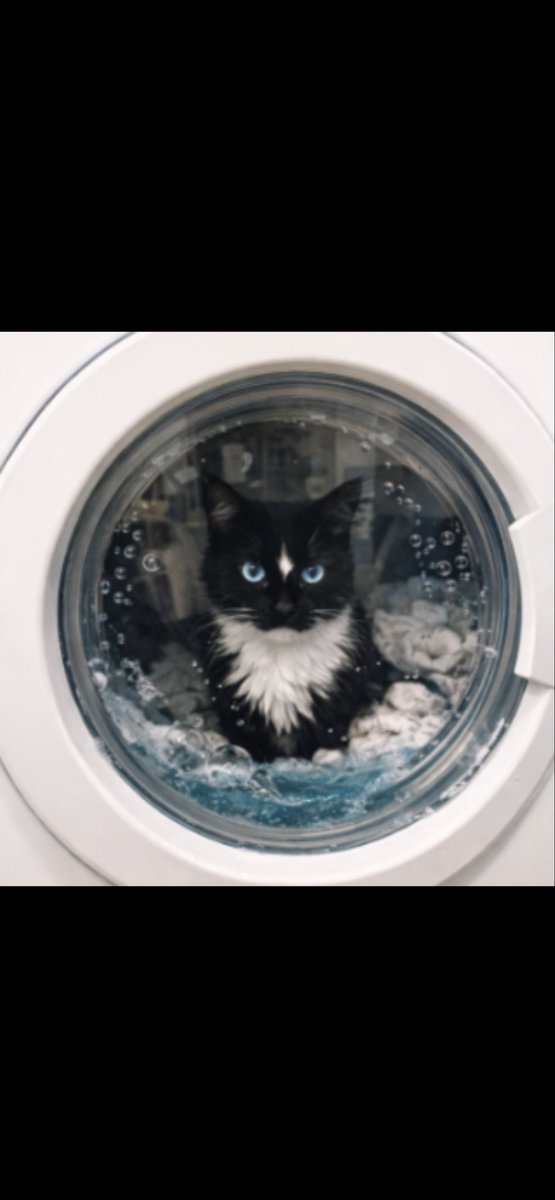 Chrisgast7's tweet image. $joy

Let’s push it bois