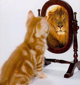 الدون بيكاسو tweet media