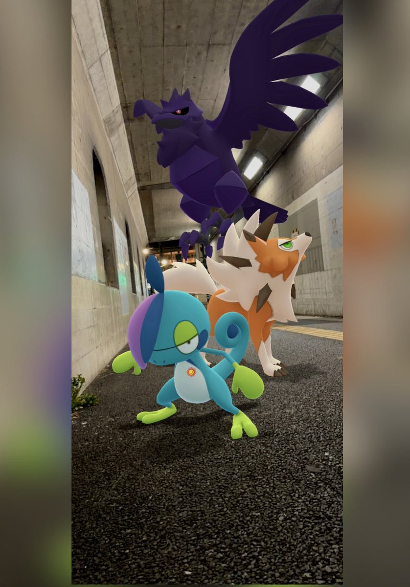 kerolimu's tweet image. 『新・鬼ヶ島討伐隊！！』

普段の忠実な表情とは裏腹に
鬼ヶ島から漂う異様な気配に反応し
低い唸り声を上げているルガルガン

黒い雷神のアーマーガー...
そしてジメレオンはった前髪をかき上げた..

#GOsnapshot 
#GOsnapshotCelebration 
#inteleonfamily  #鬼ヶ島