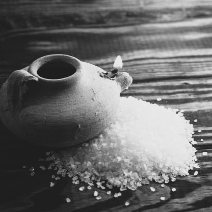 Find the salt and the light that is out there, the presence of Christ that is all around us, that is so evident in our community, in our life of prayer, in the service we do for others, and to simply enjoy it.
-From the homily of Father M. Cole Powers (8 February 2026)