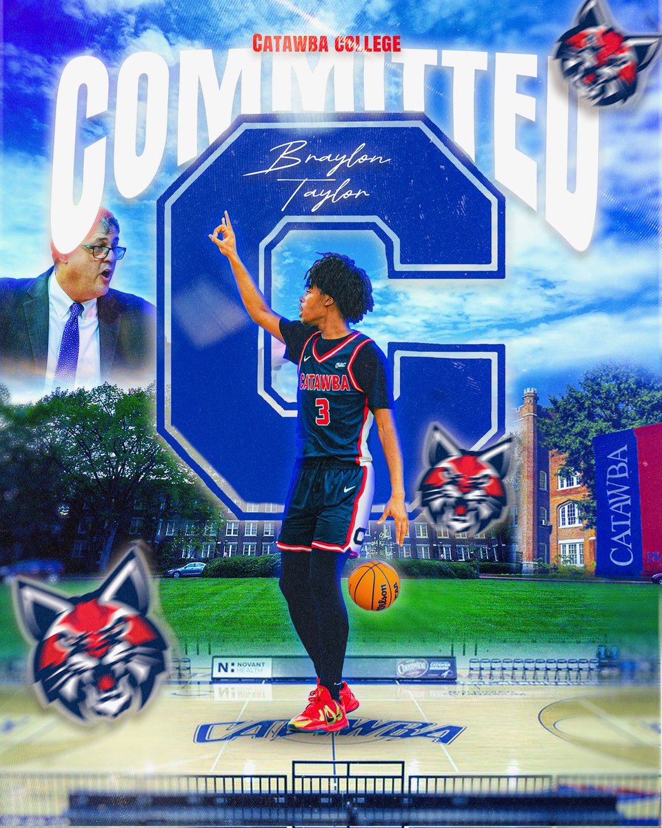 Bradley Taylor tweet media