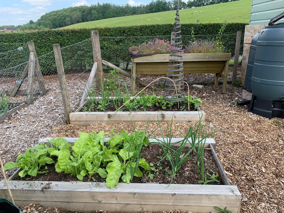The Fantastic Lesbians have been chatting about allotments and gardening. 

It’s a very popular pastime it seems. 

Green fingers are us 🥰