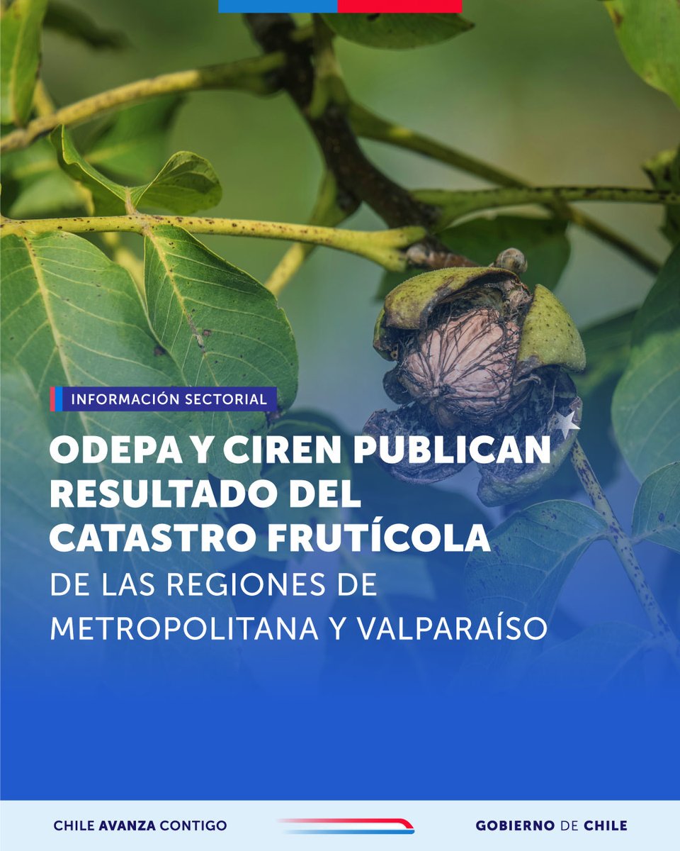 ODEPA tweet media
