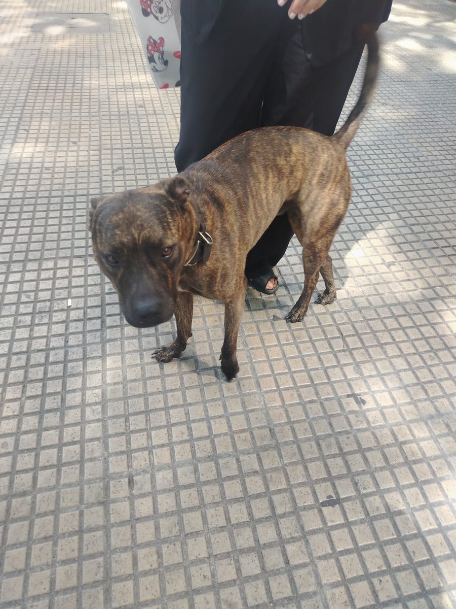 Esta perdido en Bulevar esquina Palmar