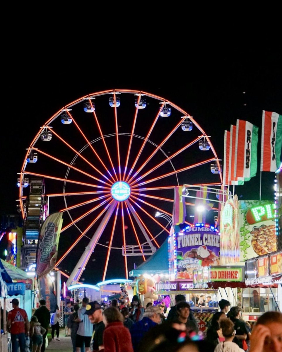 DiscoverMartin tweet media