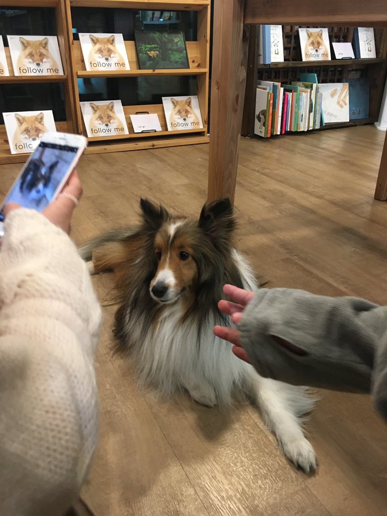 펖 tweet media