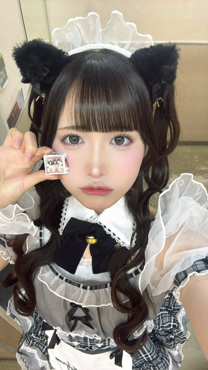 ちょこぼなぺてぃ♡