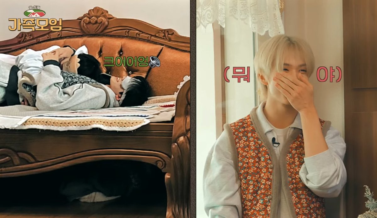 이 캡쳐 하나에 4명 있음개웃기다지금 댐동 둘이 코고는척하는 걸 한명은 두눈뜨고지켜봐야하고 다른 한명은 한층 아래에서 듣고있어야하는 게 그리고 그 두명이 디덩이랑재노인게 존웃