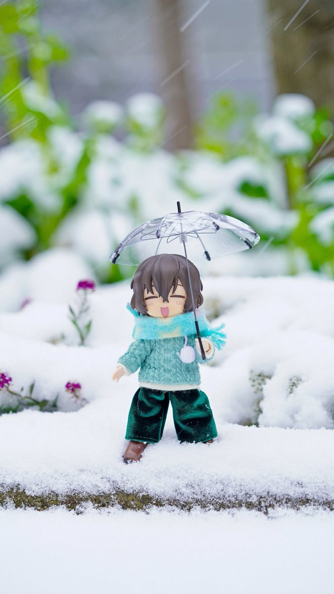 2/8 ❄雪と傘☂️一眼レフ撮影📸

ちゅやとだざさん

#ファインダー越しの私の世界