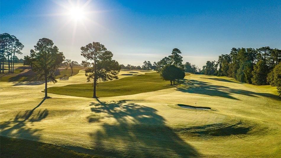 Golf Course Architecture tweet media