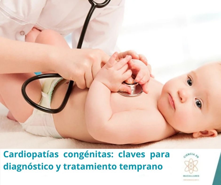 Ciencia en Magallanes tweet media