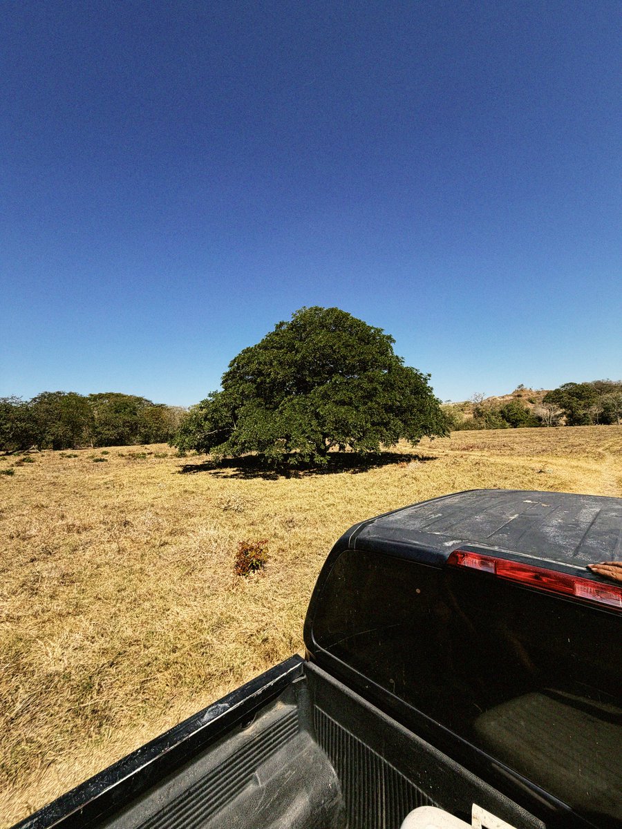 zack dorsey⚡️radio reality 📻🏜️ tweet media