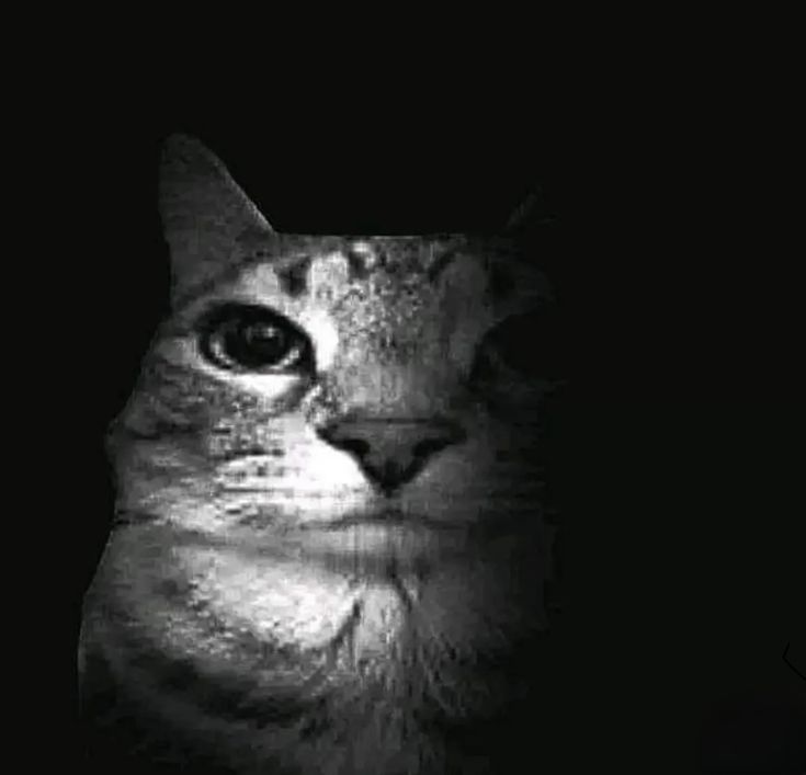 blonded_2001's tweet image. no me dejen.... cortando el queso de la pizza...... no puedo..... controlarme.....