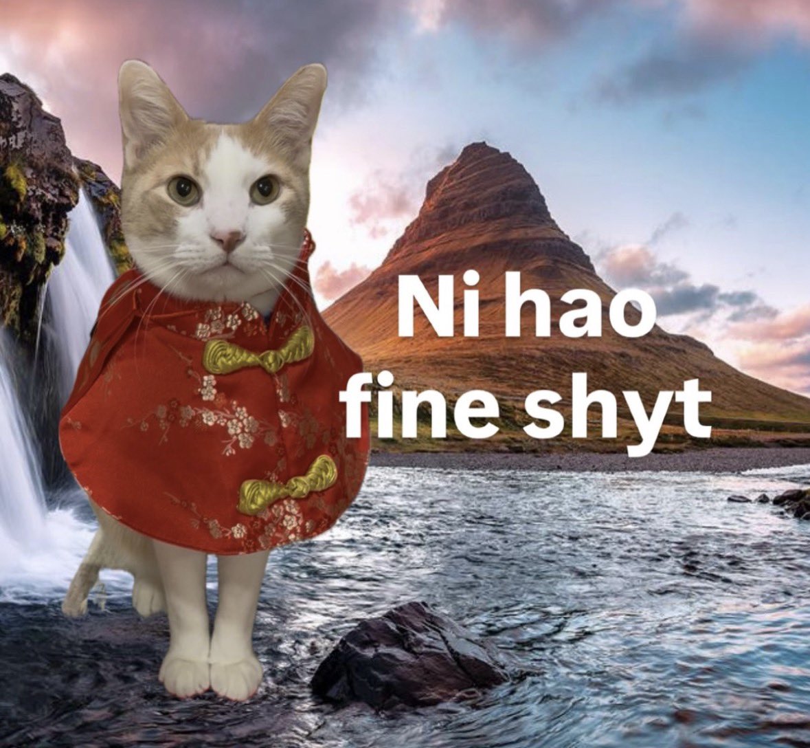 raccoonesthetic's tweet image. 