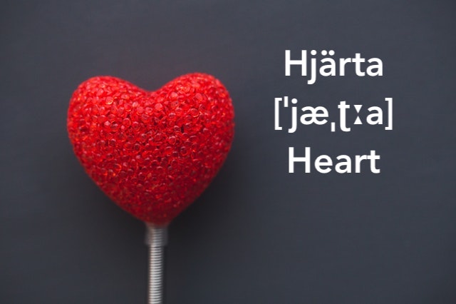 #Swedish word of the weekend: #Hjärta (#heart). A vital part of your body. But you can also refer to someone dear to you as "mitt hjärta".
#❤️ #Allahjärtansdag