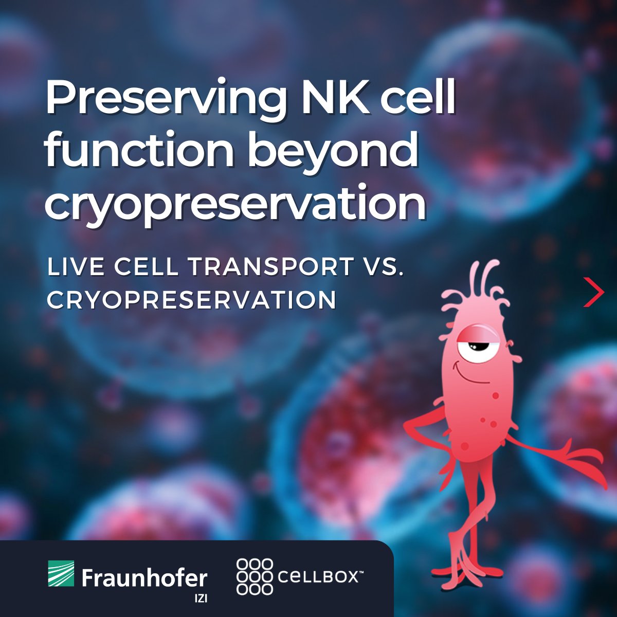 Cellbox Solutions tweet media