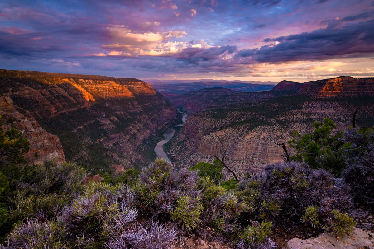 Famous for its dinosaur fossils, Dinosaur National Monument in Utah and Colorado is so much more. The park is also home an array of wildlife, deep canyons, night skies, petroglyphs, homestead sites, and wild rivers winding through spectacular backcountry.

Photo by Tom Tolbert