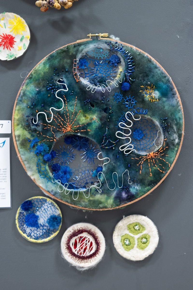 MRC Centre for Medical Mycology tweet media