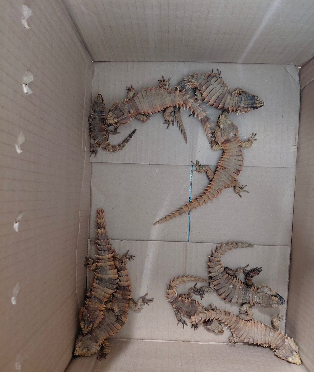 Yusuf Abramjee tweet media