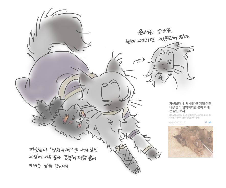 A298400_2's tweet photo. 털 먹어라 ㅡ https://t.co/DJm1Lo49eb
