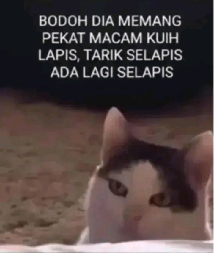 LeeSangwon44598's tweet photo. @lynxluna Aku memang dah lama dah sabar dengan knetz ni https://t.co/jp5HfpPOOx