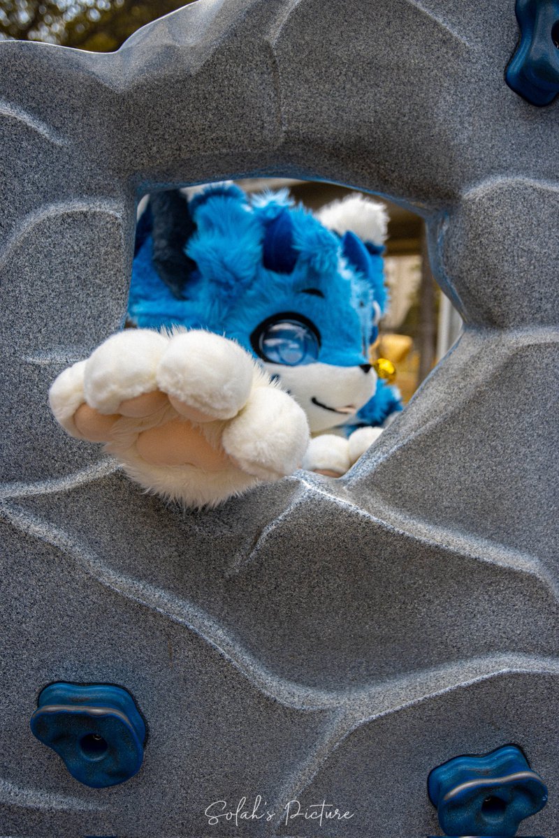 I am Pi ➡️ lifc2026 tweet media