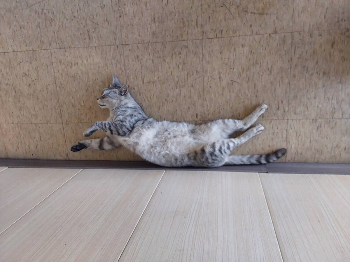 KnowLittleThing's tweet image. When can I have more than 2K followers?