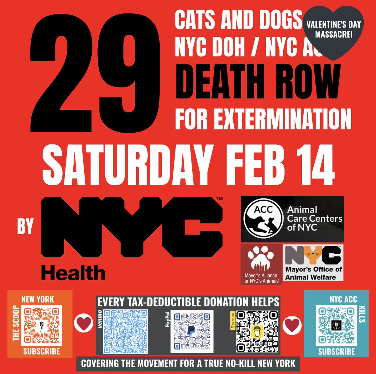 NYC DOH/ACC CARNAGE ALERT: <a href="/NYCMayor/">Mayor Zohran Kwame Mamdani</a> <a href="/NYCACC/">Animal Care Centers of NYC</a> <a href="/nycHealthy/">nychealthy</a> have 29 adoptable cats &amp; dogs set to die TOMORROW. 

Click for Mamdani's Valentine's Day Massacre list.

drive.google.com/file/d/1MLsiz4…

NYers: Your local &amp; state reps can demand DOH stop the slaughter — 34,000+ since 2015.