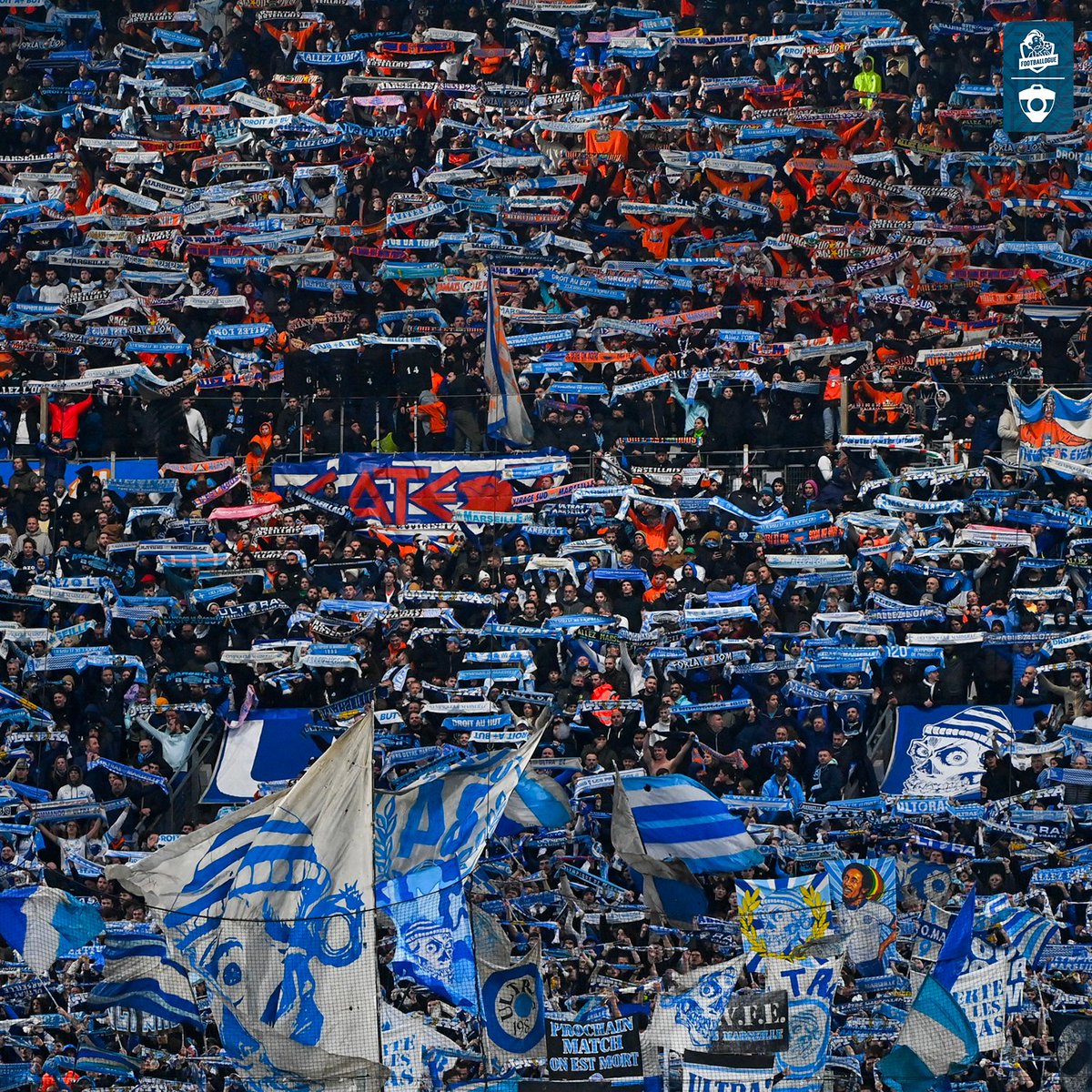 Footballogue tweet media