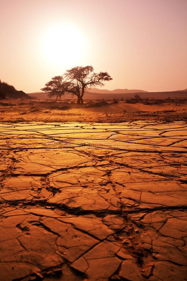 #lacuna of rain
wide riverbed turns to dust
underground #refrain

#vss365 #haikuchallenge #haiku
📸 from Pinterest