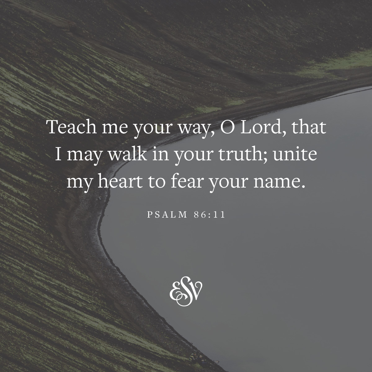 Teach me your way, O Lord, that I may walk in the truth; unite my heart to fear your name. 
—Psalm 86:11 (ESV.org) 

#Verseoftheday #ESV #bible