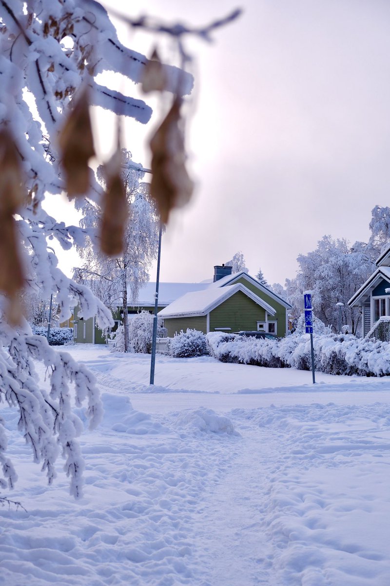 Oswaldo Rubio tweet media